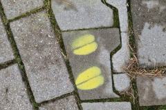 557667983_1324435122809228_6205592427996286098_n